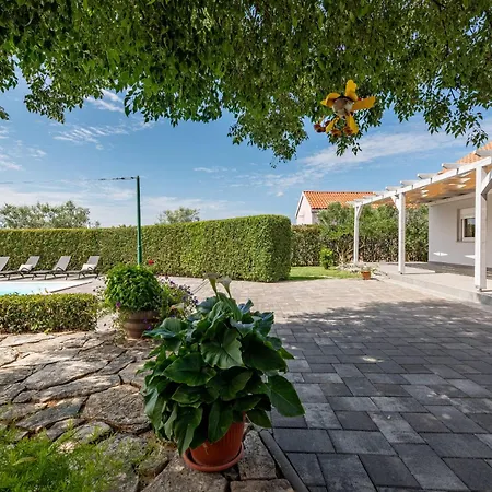Andu Zadarvillas *