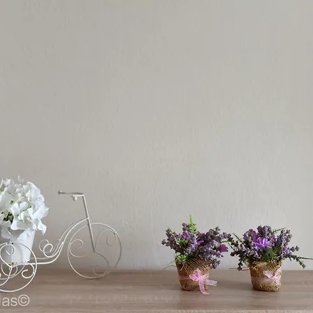 Andu Zadarvillas ヴィラ Škabrnje