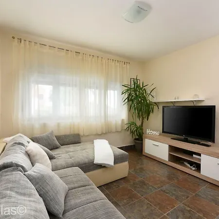 Andu Zadarvillas *