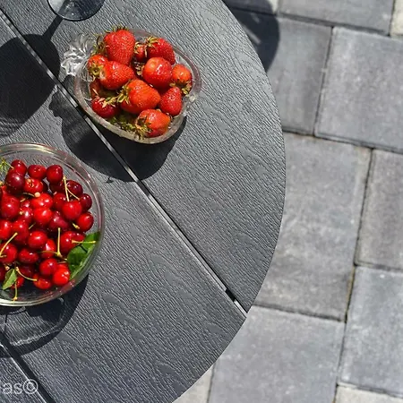 Andu Zadarvillas * Škabrnje