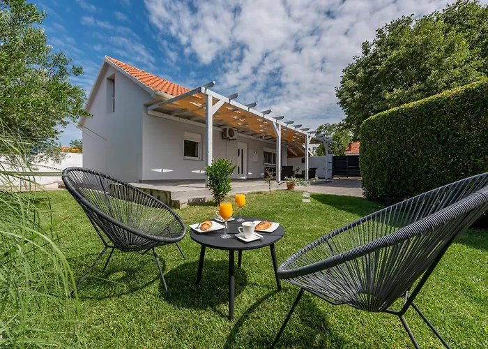Andu Zadarvillas *