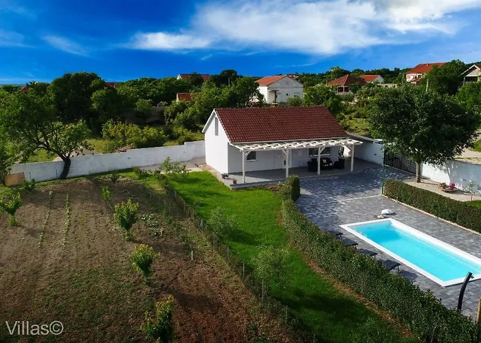 Andu Zadarvillas *