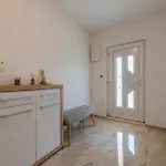 Andu Zadarvillas