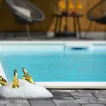 Andu Zadarvillas Βίλα Skabrnje
